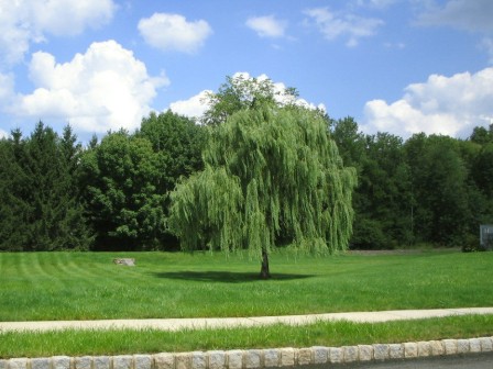 Townhome  NJ