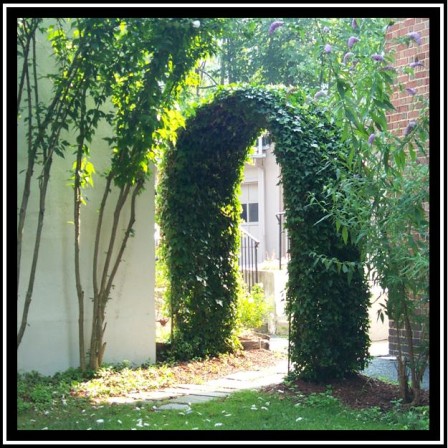 arbor in backyard